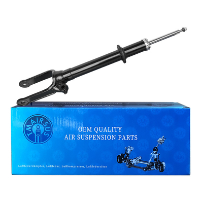 2513200730 2513203013 2513201931 2513202231 Mercedes-Benz W251 Absorbedor de choques delantero con lugar de origen