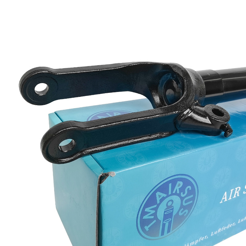 Absorbedor de choque 2513200730 2513203013 2513201931 2513202231 Para Mercedes-Benz W251 delantera Clase R 2006-2010