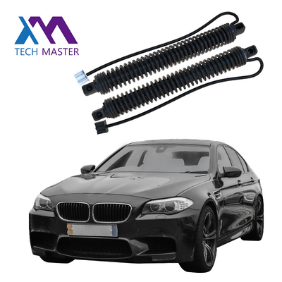 51247207009 51247207010 piezas de automóvil del poder de la compuerta del puntal eléctrico de la puerta posterior para el derecho 2011-2016 de la LH de BMW 5series F10 F18