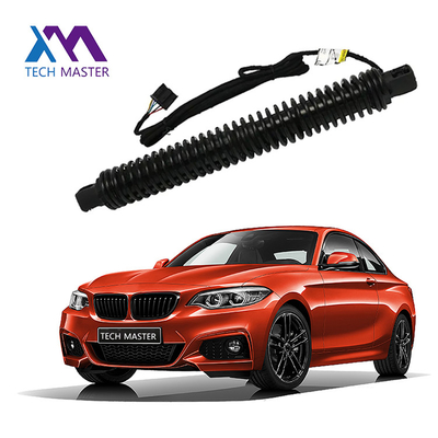 Apoyo de elevación de BMW Liftgate para 7X0LI F02 51247185713 Autómatos traseros de resorte de gas