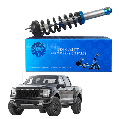 Soportes de amortiguación delantera para Ford F150 Rendimiento y durabilidad sin igual